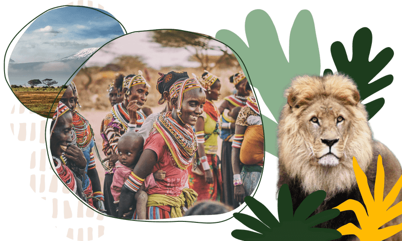 84 Africa Trivia Questions That Will Have You Scaling Kilimanjaro